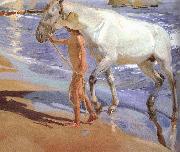 Joaquin Sorolla Horse bath oil painting on canvas